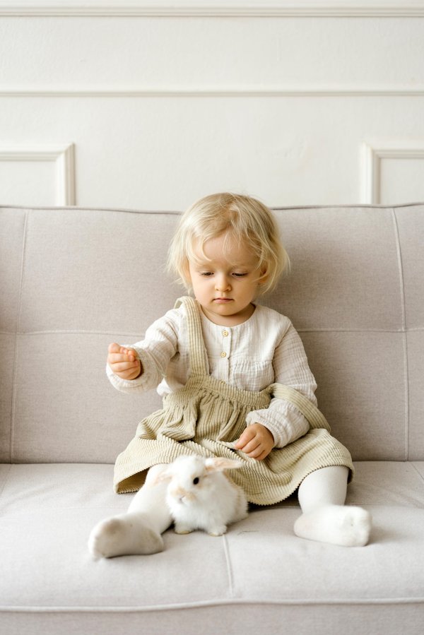 Quand donner un bébé lapin ?